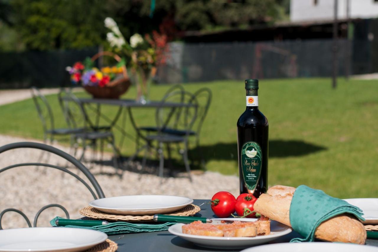 Agriturismo Villa Sardini Lucca Exterior foto